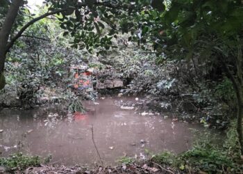 Thương tâm bé trai 5 tuổi ở TPHCM tử vong vì đuối nước tại ao nước sau nhà trọ - Ảnh 1.