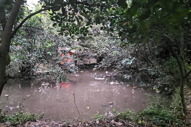 Thương tâm bé trai 5 tuổi ở TPHCM tử vong vì đuối nước tại ao nước sau nhà trọ - Ảnh 1.