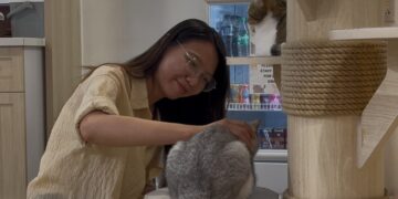 TP HCM triển khai quy định khai báo chó mèo tại quán cà phê thú cưng - Ảnh 2.