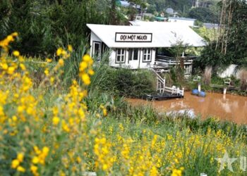 Khoảnh khắc cuối thu trên cao nguyên Lâm Đồng