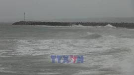 Lâm Đồng chủ động ứng phó bão số 15