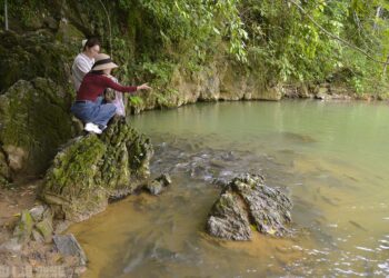 Có một suối "cá thần" khác ở Thanh Hóa mà nhiều người chưa biết - Ảnh 4.