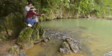 Có một suối "cá thần" khác ở Thanh Hóa mà nhiều người chưa biết - Ảnh 4.