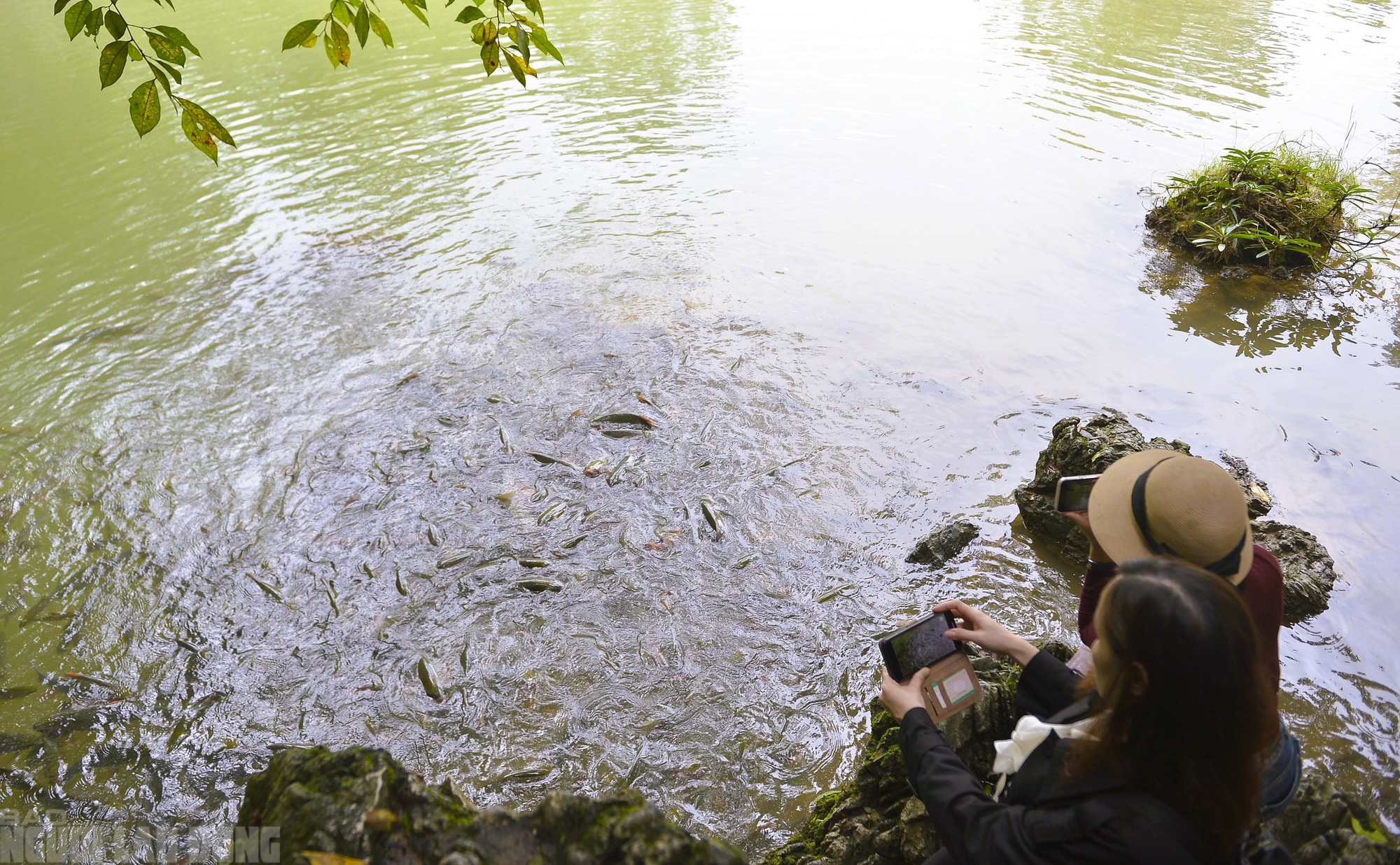 Có một suối "cá thần" khác ở Thanh Hóa mà nhiều người chưa biết - Ảnh 6.