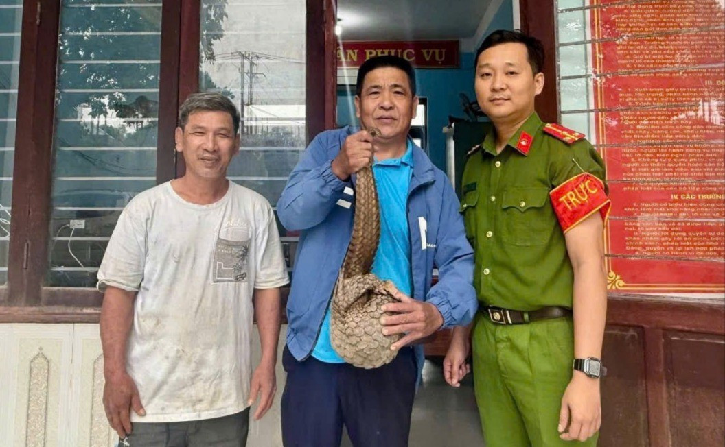 image-41 2262064781958373077-4.jpg