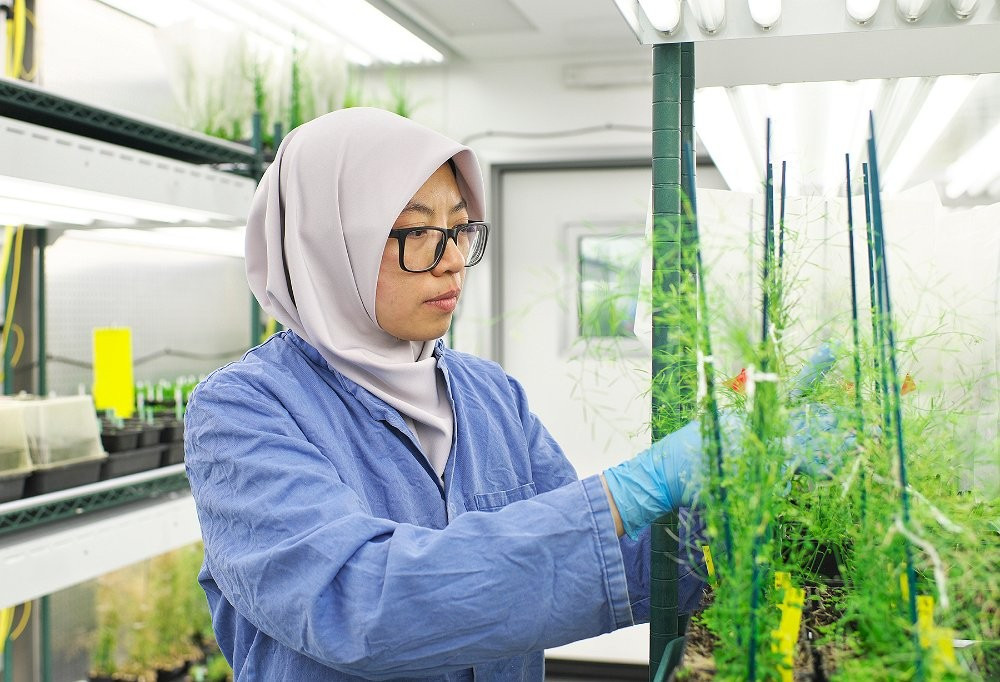 TS. Nadia Radzman sẽ mang đến những kinh nghiệm thực tiễn từ các nghiên cứu và dự án của bà trong lĩnh vực nông nghiệp và thực phẩm tại Tuần lễ Khoa học Công nghệ VinFuture năm nay. Ảnh: IE Cambridge. anh-2.jpg