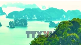 Phát triển du lịch xanh trên vùng di sản