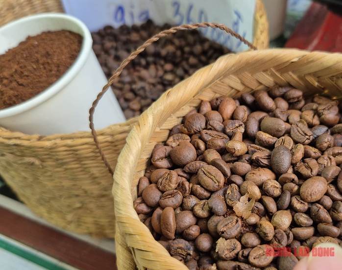 Giá cà phê hôm nay 1-12: Dồn dập thu hoạch và khuyến cáo quan trọng - Ảnh 1.