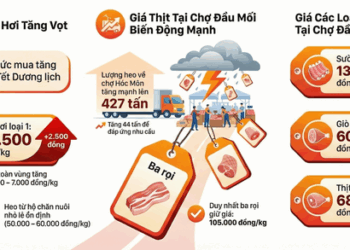 Giá heo hơi hôm nay, 1-12: Diễn biến mới ở chợ đầu mối - Ảnh 1.